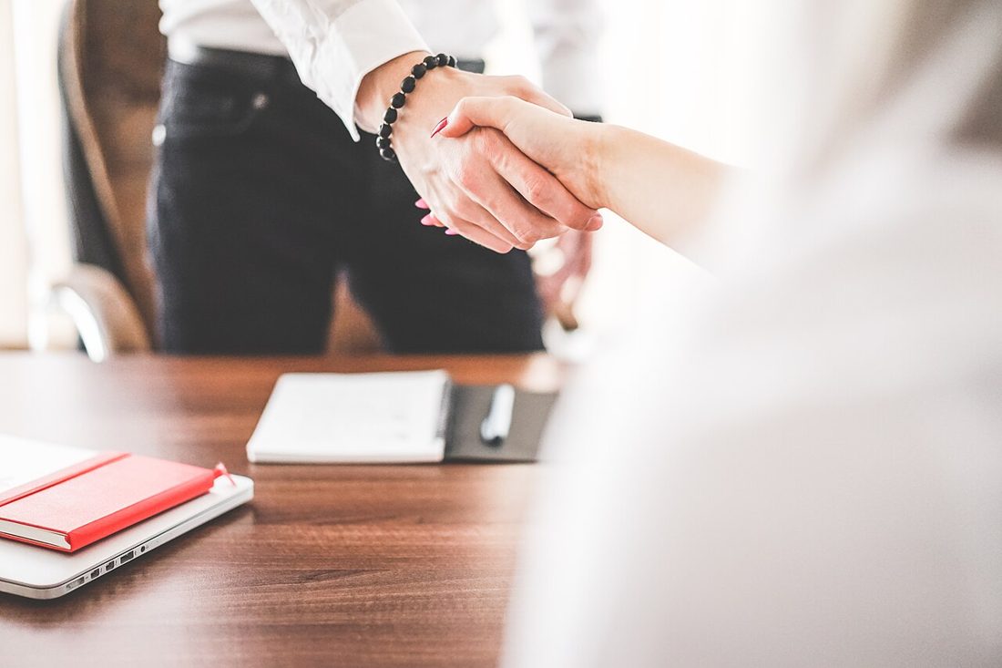 Two professionals shaking hands